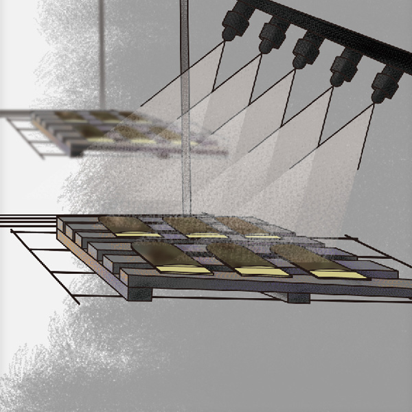 Water Transfer Printing(WTP)